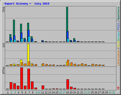 Raport Dzienny -  luty 2019
