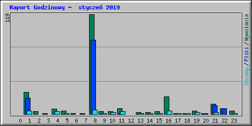 Raport Godzinowy -  stycze� 2019