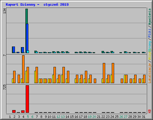 Raport Dzienny -  stycze� 2019