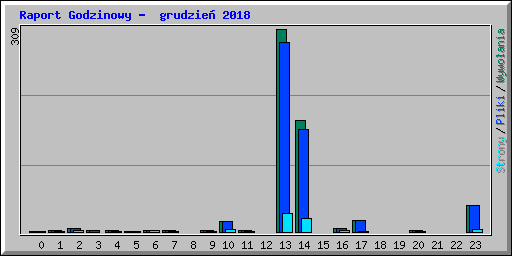 Raport Godzinowy -  grudzie� 2018