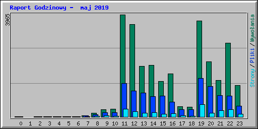 Raport Godzinowy -  maj 2019