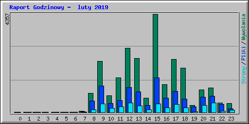 Raport Godzinowy -  luty 2019